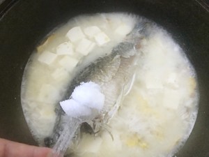 Soup whitefish bright nutrition is much, the practice measure of soup of bean curd of crucian carp fish 9
