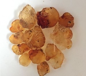 The practice measure of glue of the milk peach that stew 1