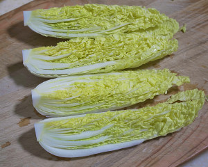 練習 地金いっぱいの野菜の量Shang Shang 2 