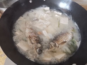 The practice measure of soup of crucian carp fish 12