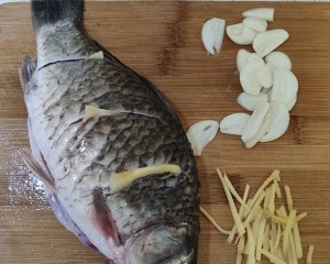 The practice measure that suckles soup of fish and shellfish as food of white crucian carp 2