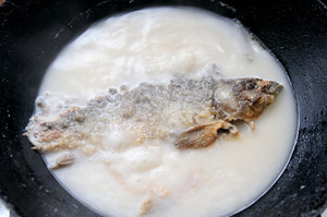 3 crucial step let soup of fish of crucian carp of boiled in clear soup you stew a delicacy of Shang Nong flavour easily the practice measure of the soup of crucian carp fish that lubricious Bai Shi suckles 6