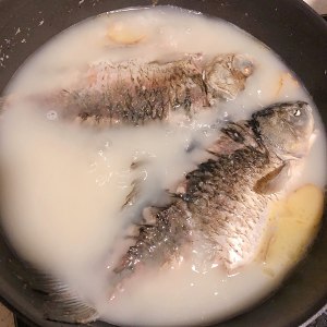 Suckle the recipe of soup of fish of white crucian carp! practice measure 6