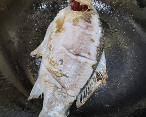 The practice measure that suckles soup of fish and shellfish as food of white crucian carp 3