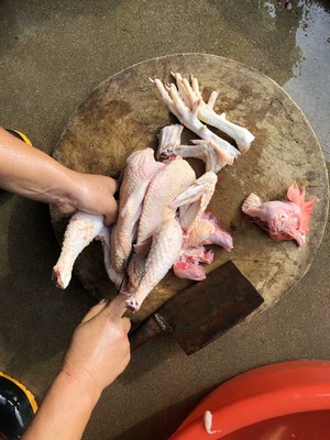 The chicken broth that stew from catch initial practice move 12