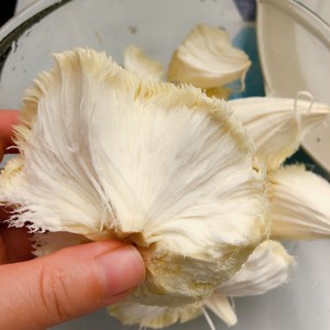 The practice measure of soup of bone of pig of lily of hedgehog hydnum stay of proceedings 6