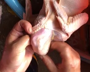 The chicken broth that stew from catch initial practice move 5