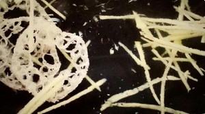 Intestines and stomach of the Qing Dynasty after the section, boiling water of not ordinary cucumber of Sun of bright ~ bamboo? 