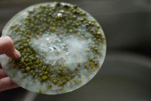 The practice measure that exceeds fast gram soup 1