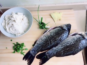 The practice measure of soup of bean curd of crucian carp fish 1