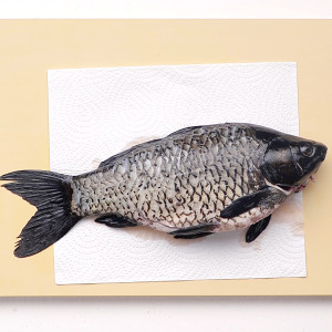 The practice measure of soup of bean curd of crucian carp fish 1