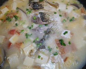 The practice measure that suckles soup of fish and shellfish as food of white crucian carp 8
