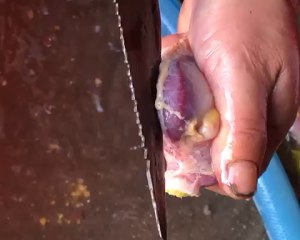 The chicken broth that stew from catch initial practice move 6