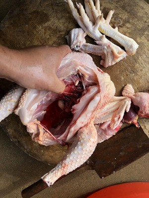 The chicken broth that stew from catch initial practice move 14