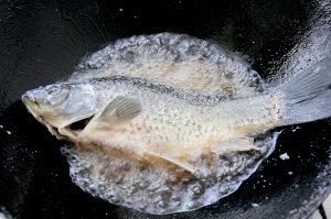 3 crucial step let soup of fish of crucian carp of boiled in clear soup you stew a delicacy of Shang Nong flavour easily the practice measure of the soup of crucian carp fish that lubricious Bai Shi suckles 2