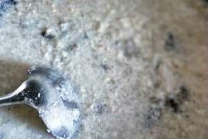 Gallinaceous fine and soft is holothurian the practice measure of soup 18