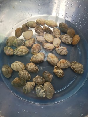 The practice measure that delicacy drops soup of clam of superciliary towel gourd 1
