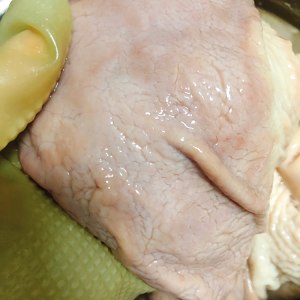 練習 メジャー腹を上げるハスの種の豚の腹部のスープ2 