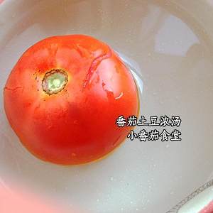 トマトポテトフーシュの実践測定2