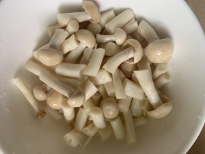 The practice measure of soup of mushroom of bean curd bacterium 2