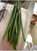 The practice measure of soup of bean curd of head of 3 article fish 1
