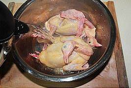 The practice measure of columbine boiling water of milk of jujube a surname 2