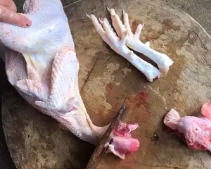 The chicken broth that stew from catch initial practice move 11