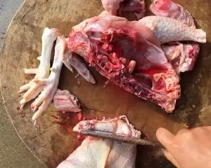 The chicken broth that stew from catch initial practice move 15