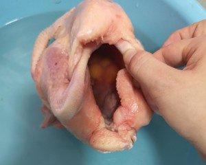 The practice measure of chicken broth of earth of Bao of arenaceous boiler of medlar of angelica dangshen red jujube 2