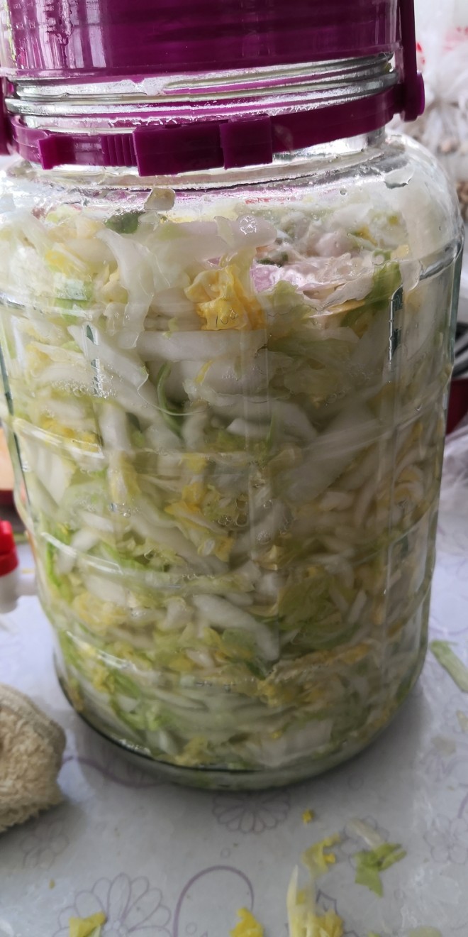 冬に来て、白菜の漬物がおいしい食べ物への渇望を満たす方法を少し作ります