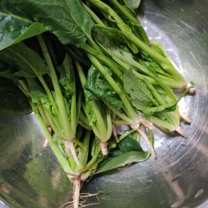 Spinach of cold and dressed with sause of vermicelli made from bean starch, 