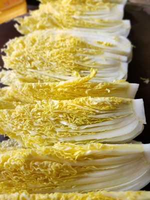 The practice measure of food of baby of evaporate of juicily vermicelli made from bean starch 4