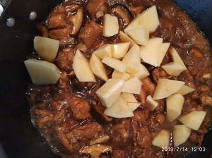 The practice measure of super and delicious yellow stew chicken 13