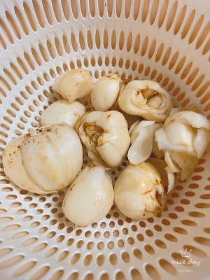 The practice measure of Bao of arenaceous boiler lily 1