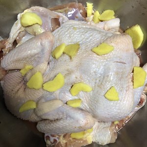 電動食事バオ2のシチューの鶏肉の練習対策
