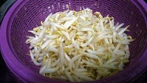  清朝がもやし2 