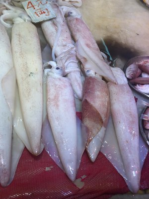 The squid that has intention most - squid of wine of rice of polished glutinous rice is delicious want suck to finger! practice measure 1