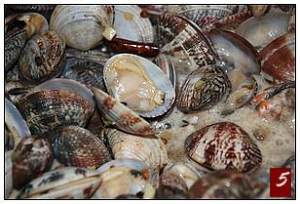 The practice measure of the clear clam that fry a flower 5