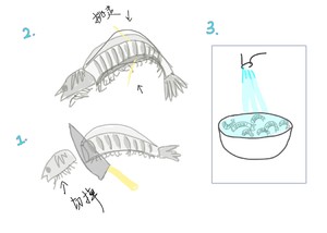 焼いた灰と塩で作られた調味料は甘くて壊れやすい車海老1の練習法です