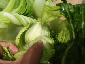Pickled Chinese cabbage, god of go with rice implement, leave home town or oneself to do, the eating practice step that be at ease 5
