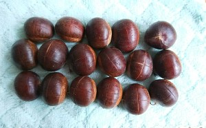High-pressured boiler edition [candy fries Chinese chestnut] practice measure 5