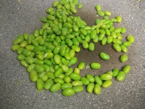 The practice measure that corn of young soya bean fries an egg 2