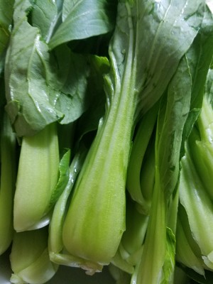 緑色の野菜をベースから直接炒めます。この1つのペースで淡緑色の色が炒めることを忘れないでください 悪くない食事の練習手順1 