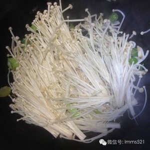 The practice measure of stay of proceedings of fat cattle acupuncture needle 5