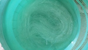 アリ1のツリーの練習尺度