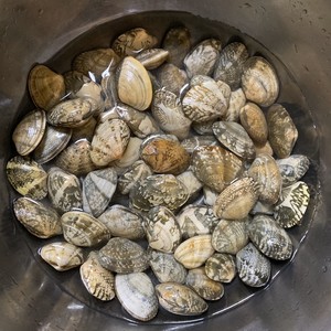 5分で作ることができます 決定されたアルミ箔の豆またはサツマイモのでんぷんから作られた麺または春雨60年のサイクル！実践測定1 
