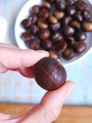 High-pressured boiler edition [candy fries Chinese chestnut] practice measure 4