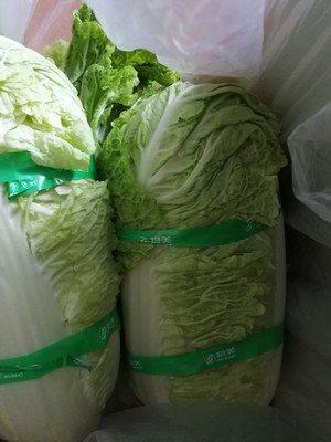 The practice measure of northeast pickled Chinese cabbage 1