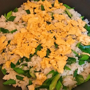 ニンニクの甘い卵が食事を揚げる練習対策9