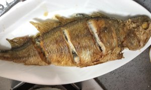 醤油4の煮込みの黄色いニベの実習尺度